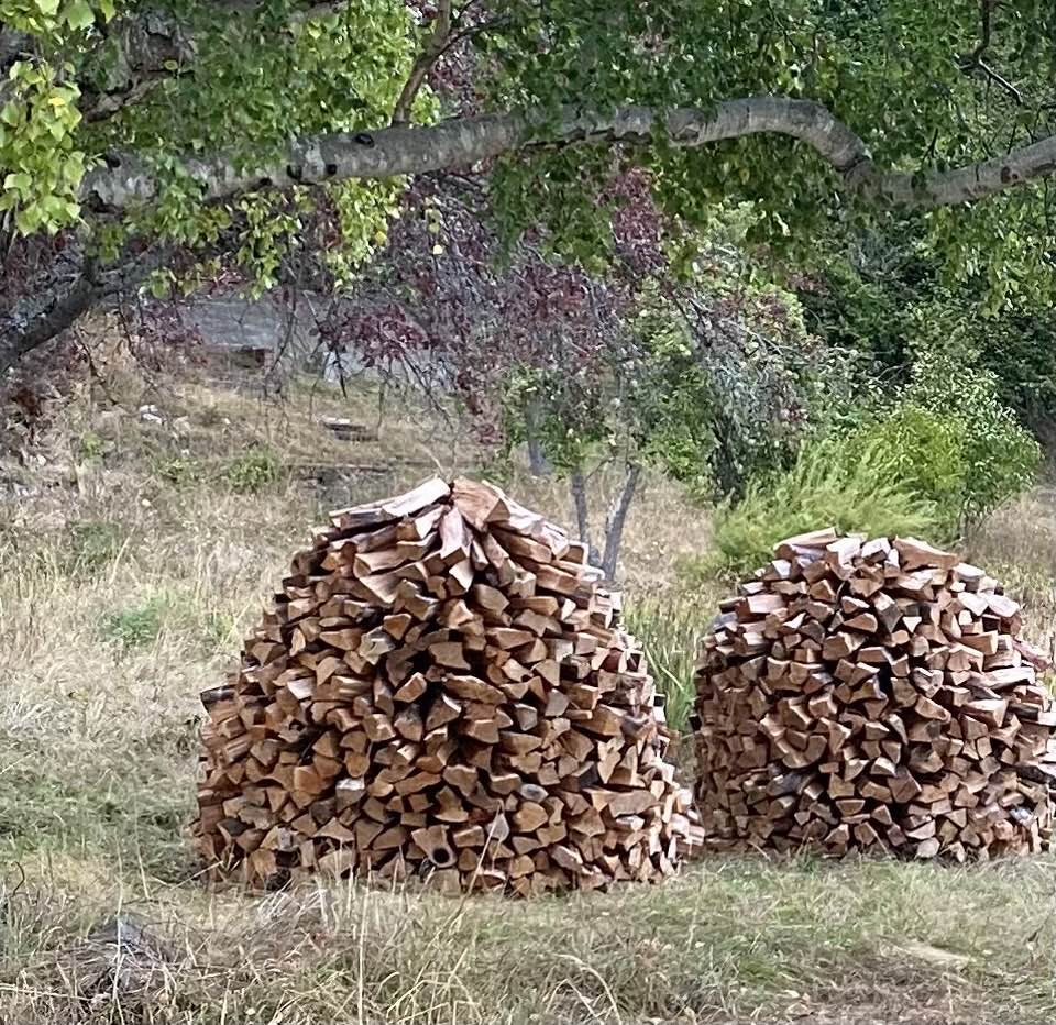 My One Listicle of the Year