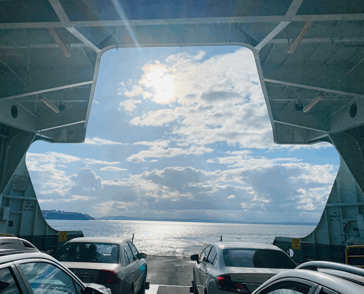 How I'm Finding My Political Home