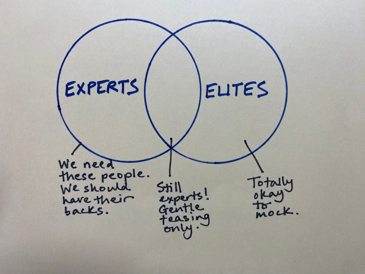 We Need to Distinguish Between Elites and Experts