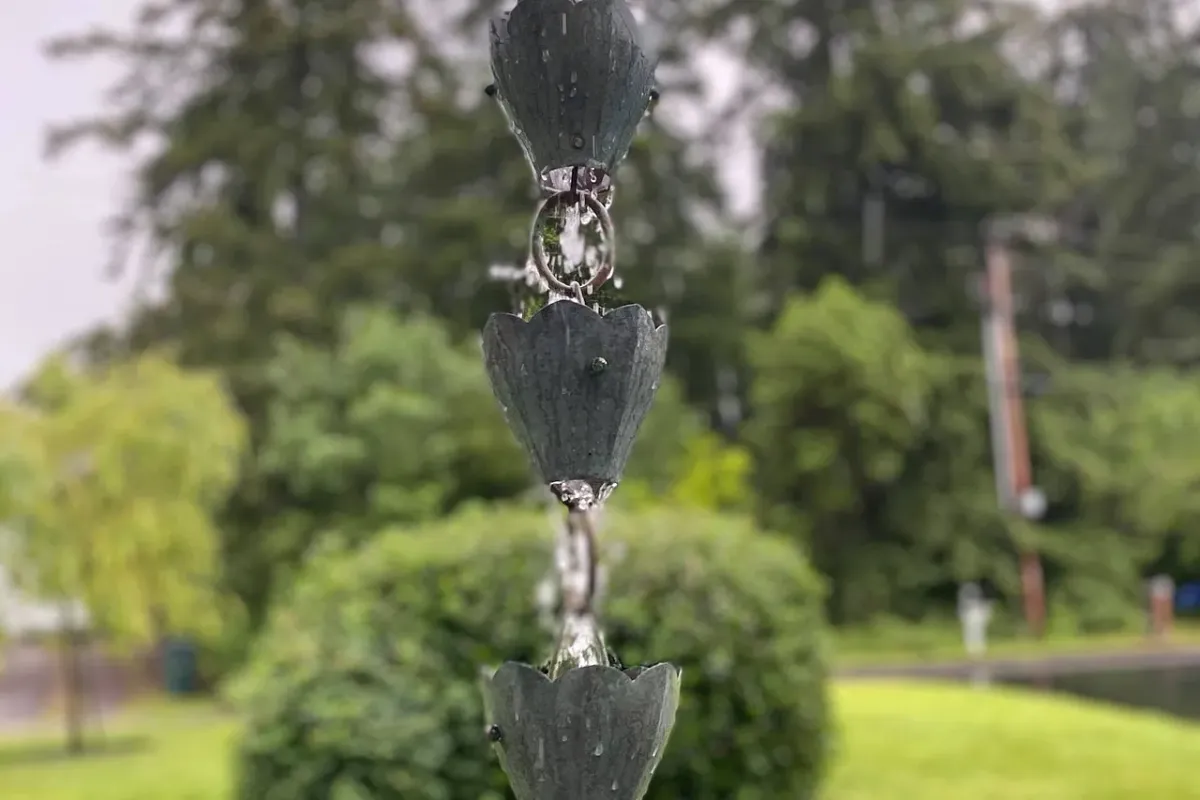 One Thing Humans Do Better Than AI