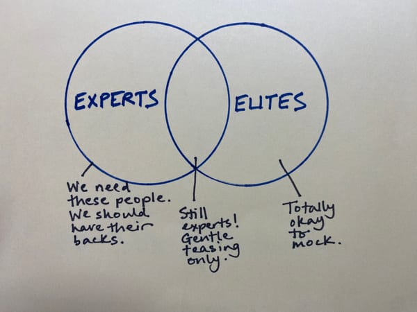 We Need to Distinguish Between Elites and Experts